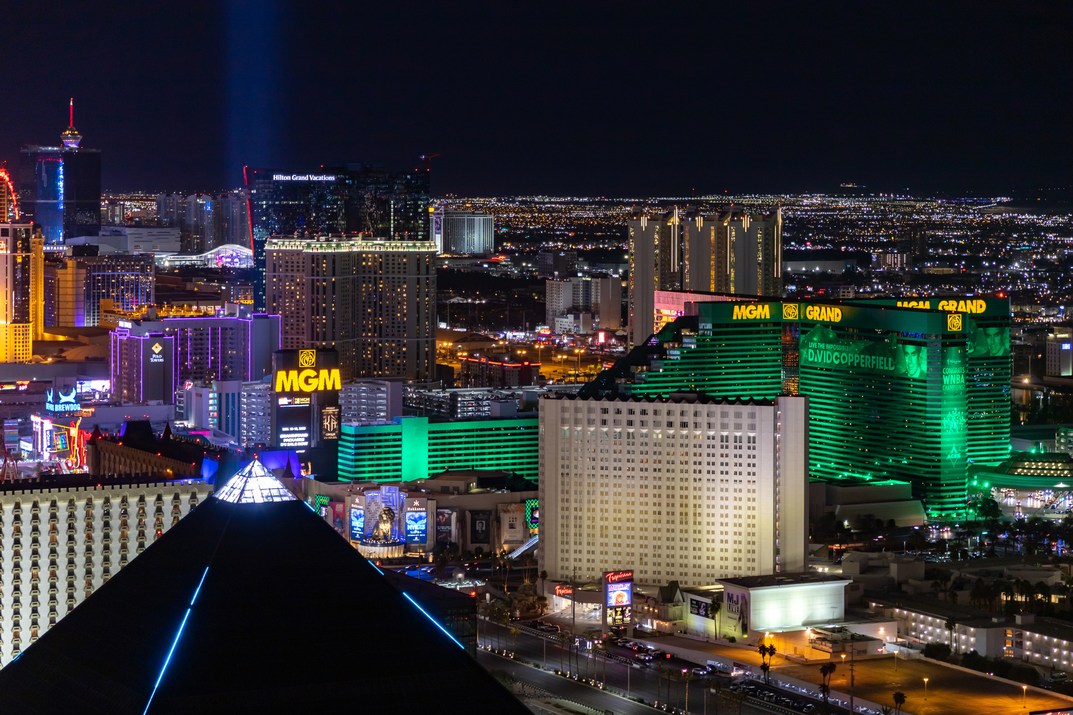 The Role of Casinos and Nightlife Venues in Las Vegas: Investigating Trafficking Activities